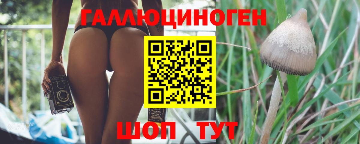 Галлюциногенные грибы мицелий Железноводск